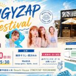 ZINGYZAP FES