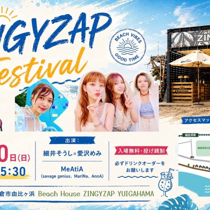 ZINGYZAP FES